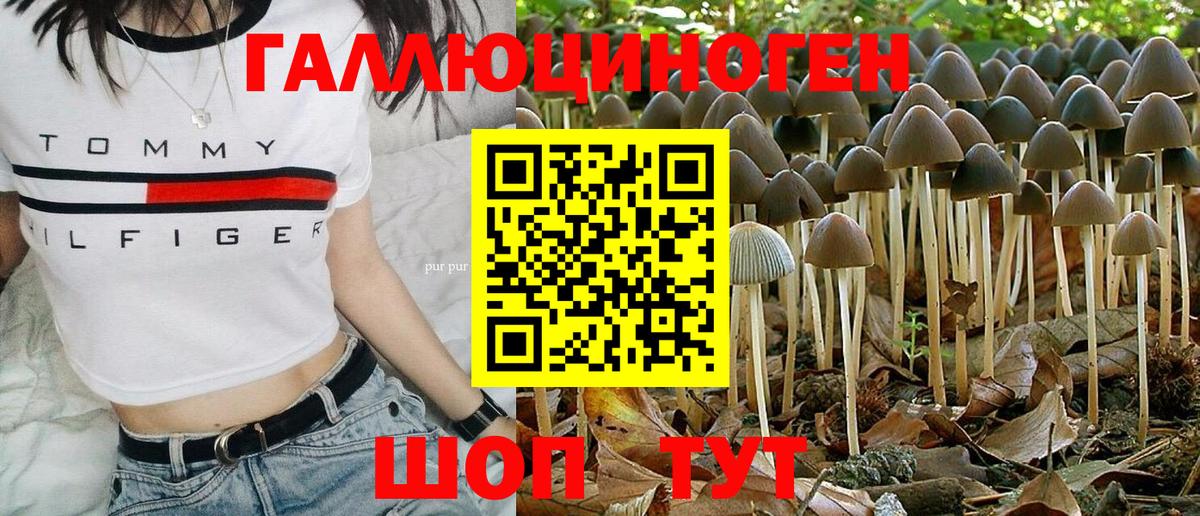 Галлюциногенные грибы мицелий  Псилоцибиновые грибы мицелий  Вход с VPN  Кировск 